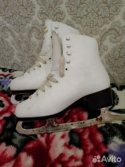 Коньки фигурные Граф Давос 38 раз