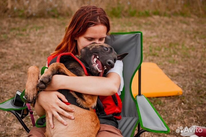 Кинолог. Дрессировка и воспитание собак