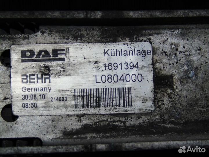 Интеркулер DAF XF105 (01.05)