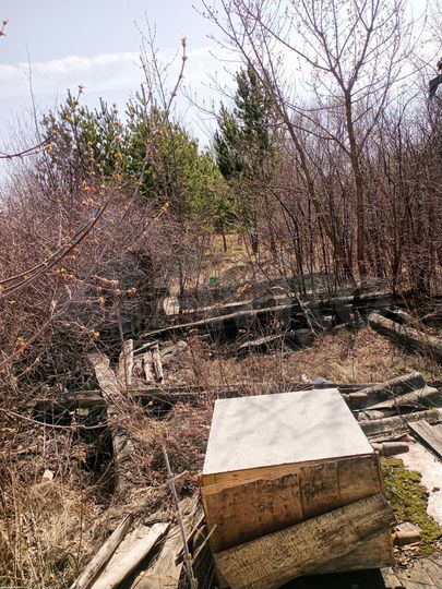 Дом 22,9 м² на участке 11 сот.