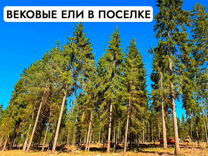 Участок 6,9 сот. (ИЖС)