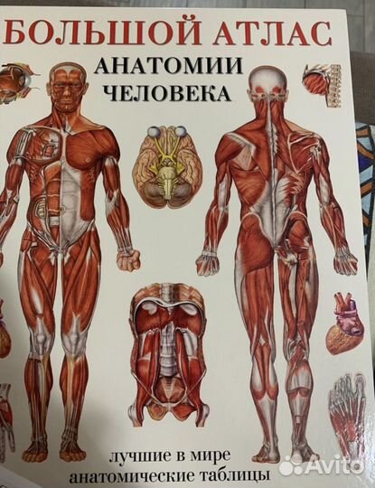 Большой атлас анатомии человека