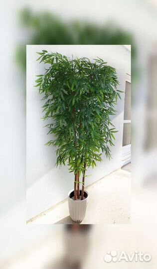 Бамбук искусственный, дерево искусственное