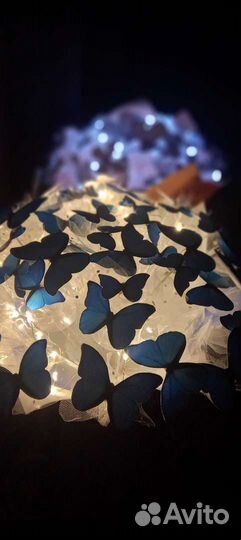 Букеты из бабочек