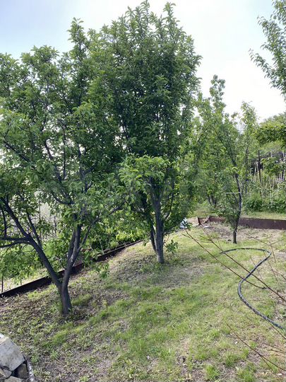 Дача 78 м² на участке 10 сот.