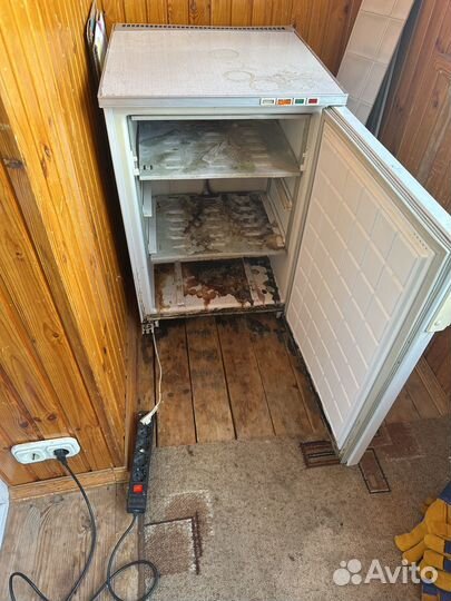 Морошильная камера Бирюса