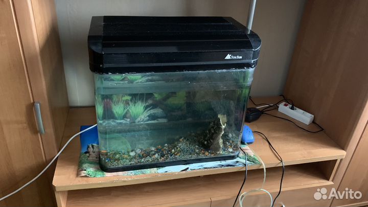 Аквариумы + рыбки + декор+ тумба