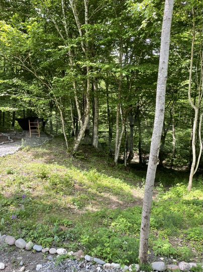 Дом 48 м² на участке 25 сот.