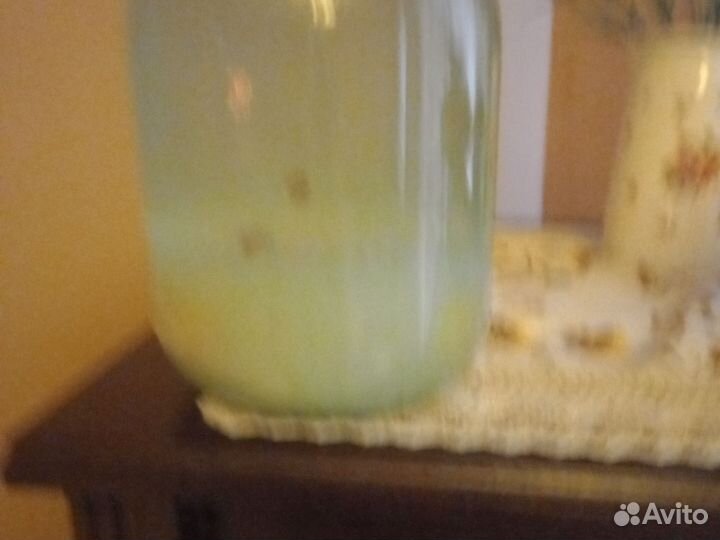 Индийский морской рис