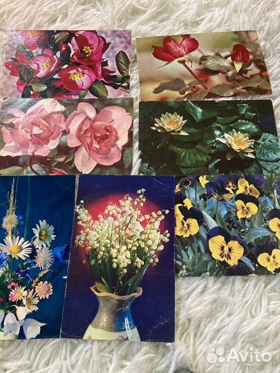 Открытки СССР