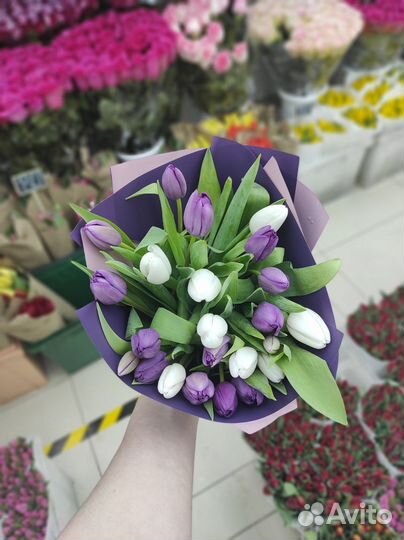 Тюльпаны к 8 марта Пионовидные Разноцветные