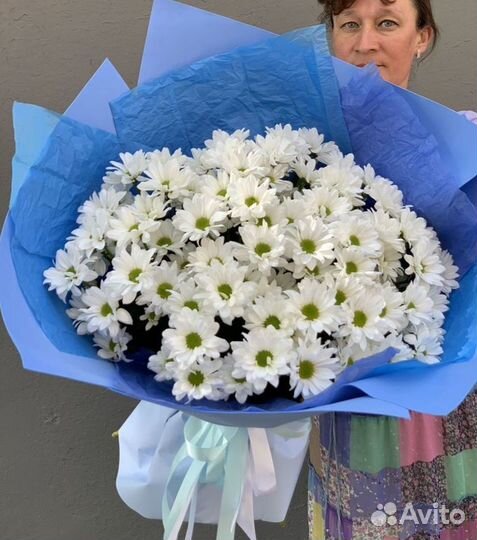 Хризантемы с круглосуточной доставкой