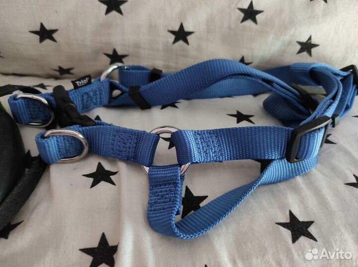 Рулетка, шлейка, носки, поводок для собаки