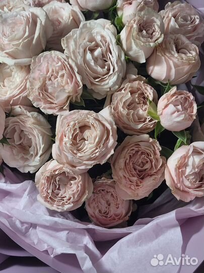 Букет роз заказать