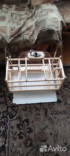 Клетки для ловли птиц