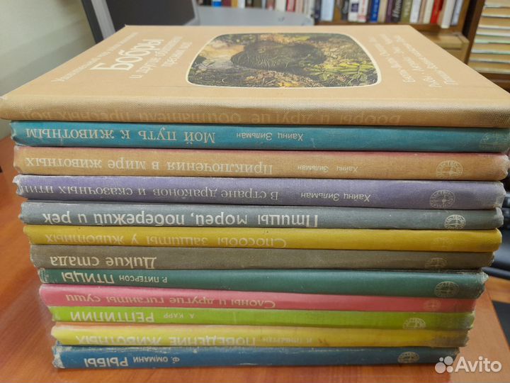 Удивительный мир диких животных