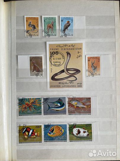 Почтовые марки