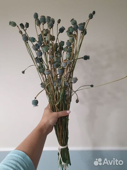 Мак стабилизированный