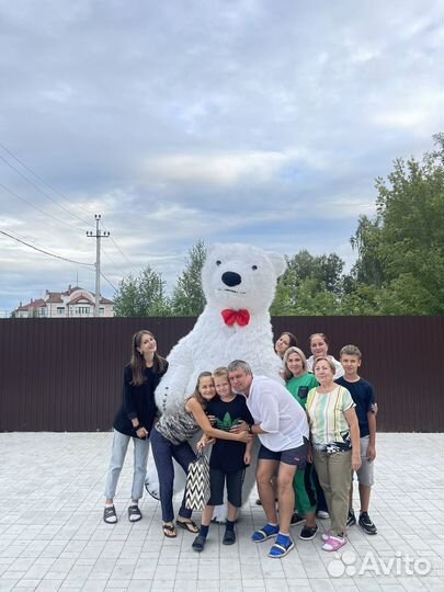 Белый мишка поздравление