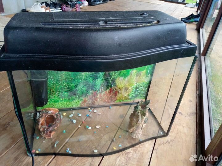 Аквариум 40-45 литров
