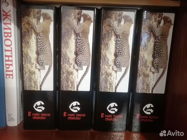 Энциклопедии