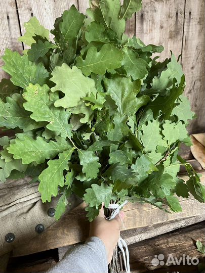 Дубовые веники для бани