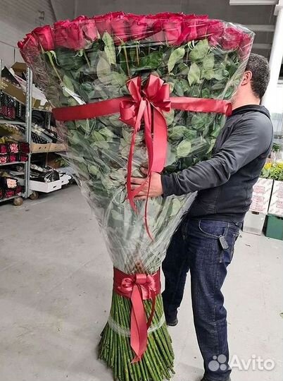 101 роза цветы букеты доставка 25 51 101 роза