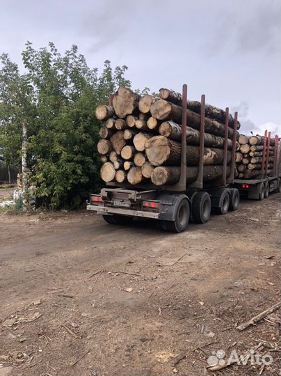 Подробности по телефону