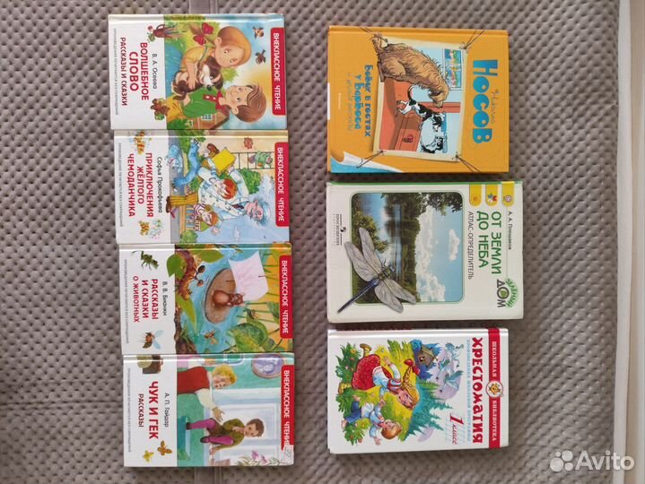 Книги для внеклассного чтения