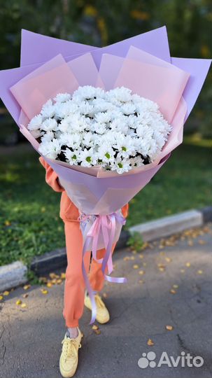 Букет гигант из ромашек (хризантемы)