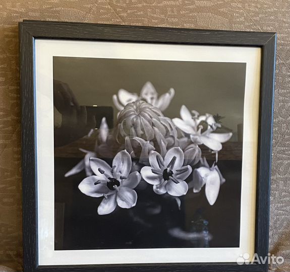 Картина IKEA постер в раме 2 штуки