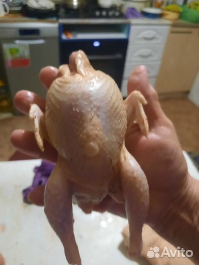 Продаю мясо уток, гусей и перепелов