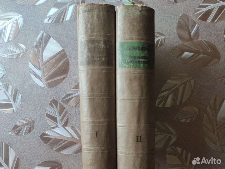 М. Ю. Лермонтов