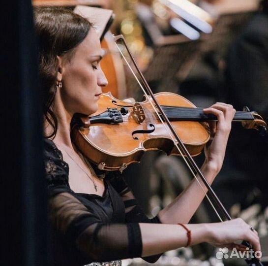 Скрипка на ваш праздник