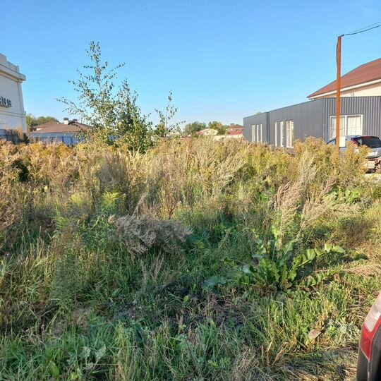 Участок 15,5 сот. (ИЖС)