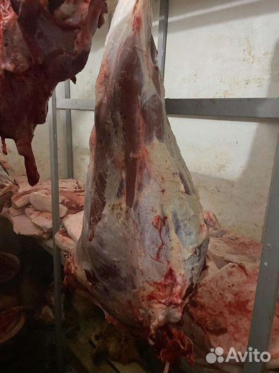 Мясо говядина