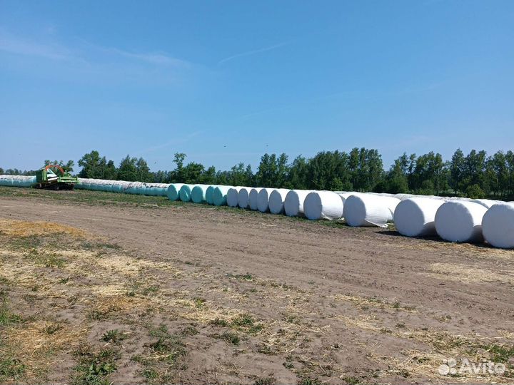Сенаж в рулонах, урожай 2024