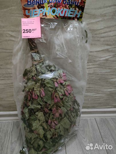 Веник черноклен