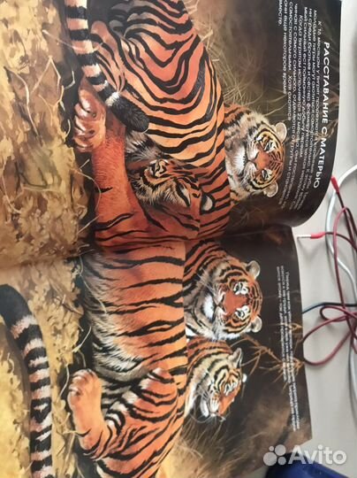 Детская энциклопедия про животных