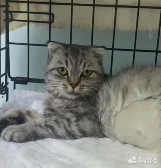 Шанс на жизнь