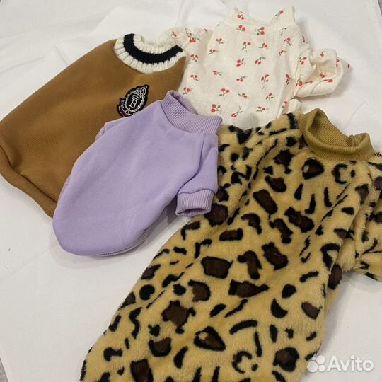 Одежда для собак мелких и средних пород