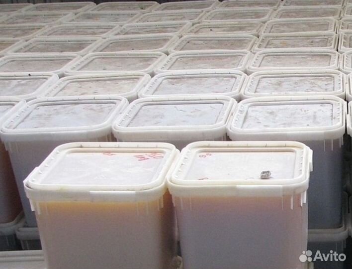 Мед с Алтая жидкий цветочный мед оптом