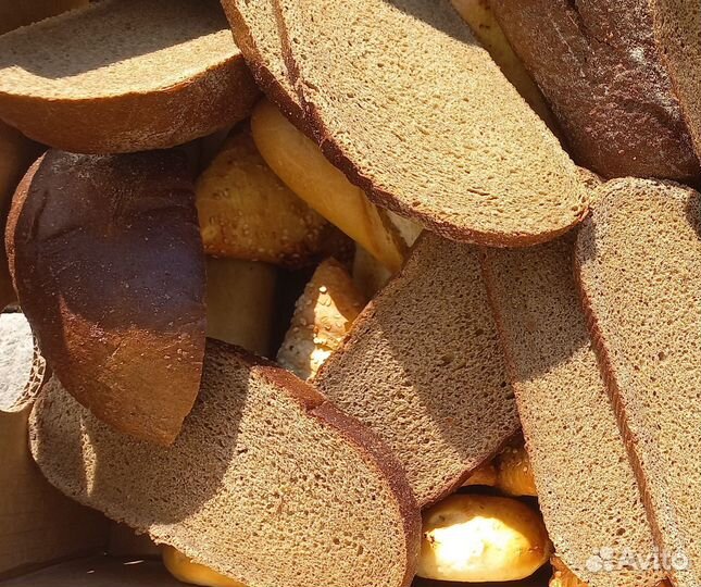 Хлеб на корм животным