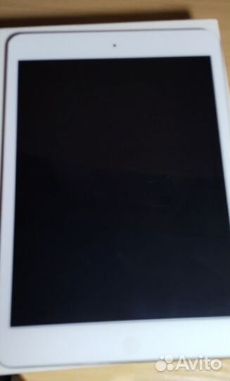 iPad mini 2