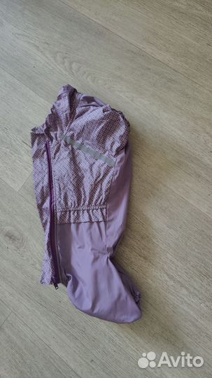 Одежда для собак