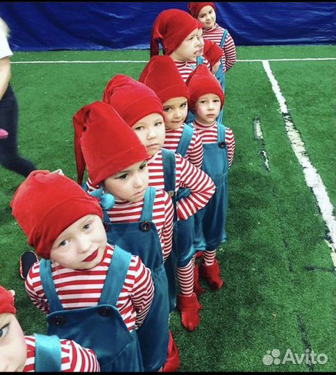 Костюм Гномик