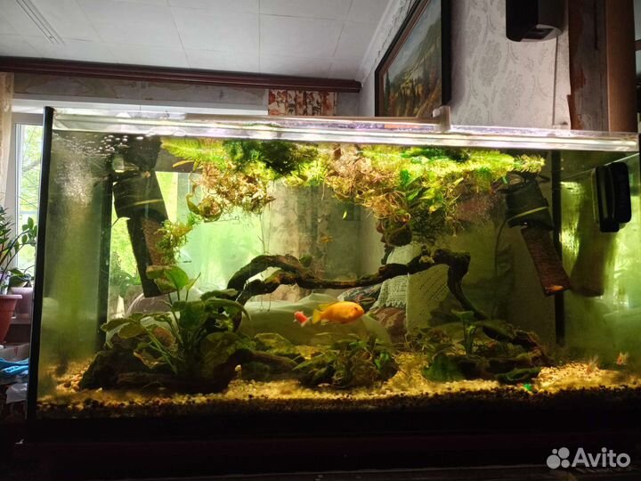 Аквариум 200л с тумбой