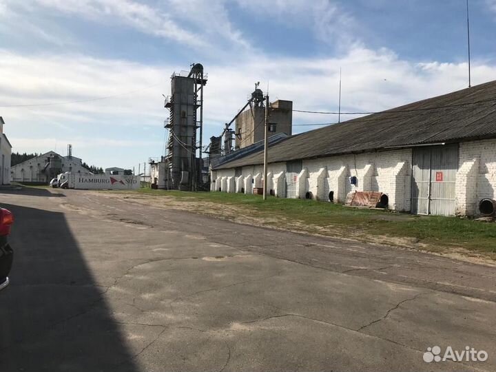 Хпп (элеватор напольного хранения) 8 складов