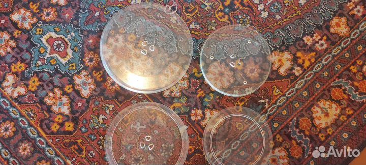 Тарелки для микроволновки