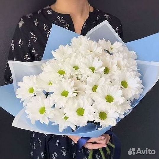 Хризантема Доставка цветов